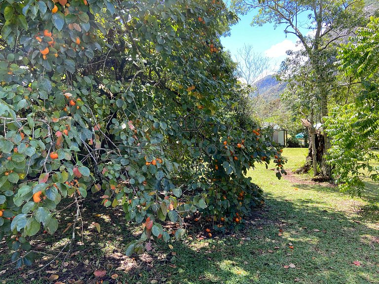 Alquiler de casa en Petrópolis con piscina y sauna