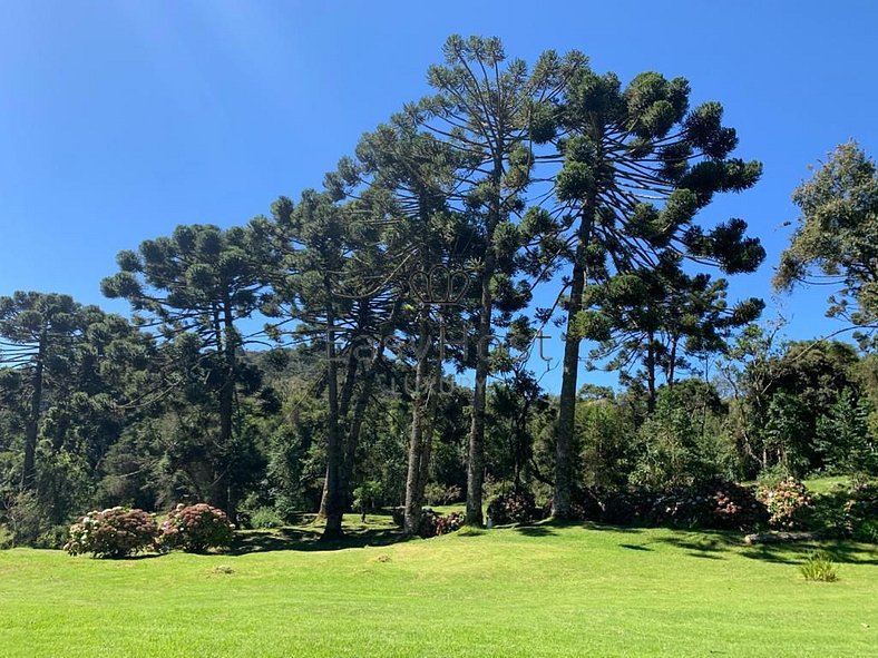 Alquiler de casa en Serra da Mantiqueira