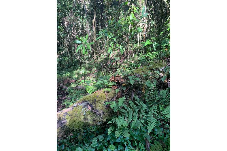 Alquiler de casa en Serra da Mantiqueira