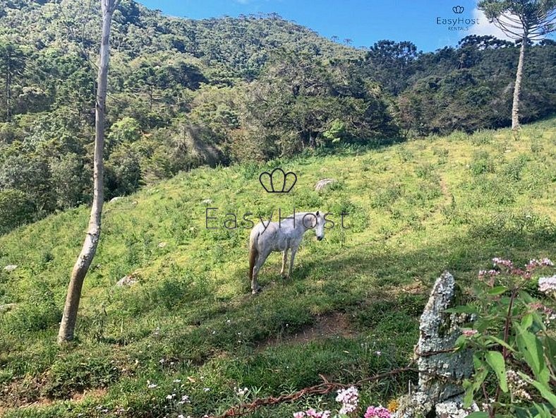 House rental in Serra da Mantiqueira